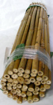 bamboolaying.JPG